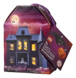 LEGO Pumpkin & Bat Duo