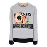 LEGO Sweater Jurassic World LIGHT GREY (M12010050 - Size 104)