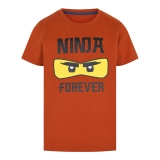 LEGO T-Shirt Ninjago BRUIN (M12010188 - Maat 104)