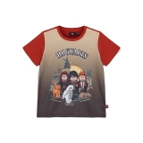 LEGO T-shirt Harry Potter DONKERRROOD (LWTANO 116 - Maat 128)