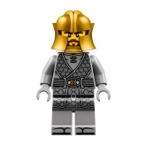 LEGO Meester van de Aarde (NJO1011)