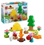 DUPLO 10452 Peppa Pig Kampeertrip DUPLO 10452 Peppa Pig Kampeertrip