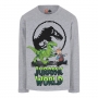LEGO T-Shirt Jurassic World LICHTGRIJS (M-22662 - Maat 104)